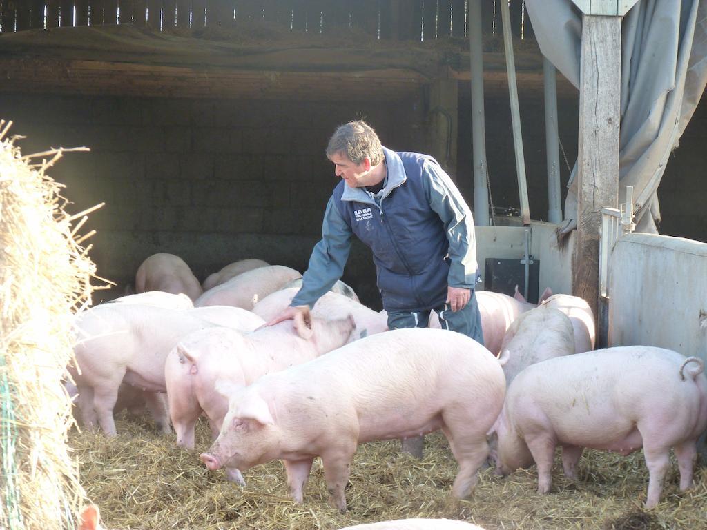 La Ferme Chauvet Bed & Breakfast Chantenay-Villedieu Luaran gambar